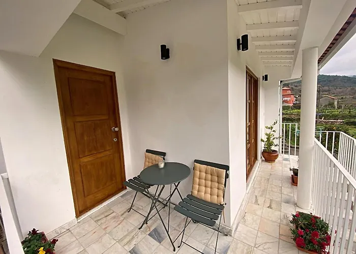 On The Paiva River - Hostiva